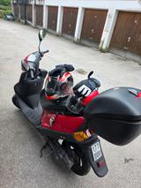 Andere Rex - MOFA REX