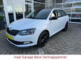 Skoda Fabia 1.0l TSI Monte Carlo Combi | Pano | SHZ - Skoda in Konstanz