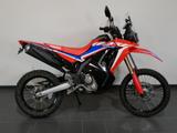 Honda CRF300 Rally Modell 2024 / erst 3059km - HONDA CRF300