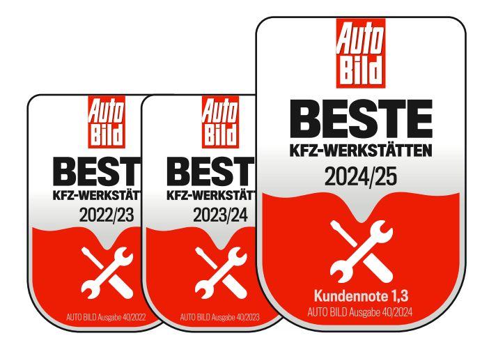 Ford Focus ST-Line X MHEV 5-türig+ LED+ Navi+ Winter