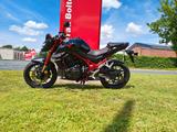 Honda CB750 HORNET-TOP Zustand -Quickshifter - HONDA CB750