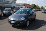 Fiat FIAT PUNTO EVO DYNAMIC 1.2 65 CV - graue Fiat Punto Evo