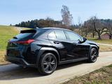 Lexus UX 250h Launch Edition  - Lexus UX Gebrauchtwagen