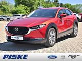 Mazda CX-30 Selection PDC SITZHEIZUNG NAVI ACC HUD LED - Mazda CX-30 aus 2023