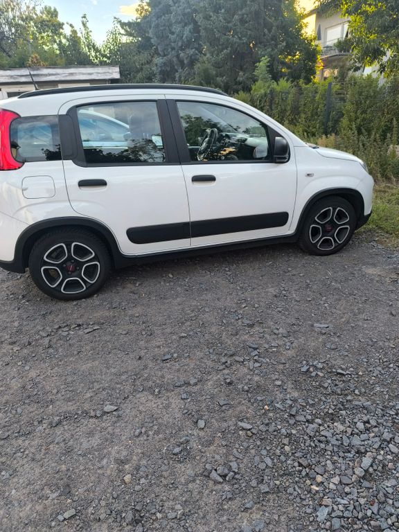 Image of Fiat Panda