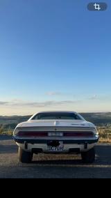 Dodge Challenger - Dodge Challenger in Dresden