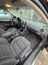 Audi A3 1.4 TFSI Ambition Sportback Ambition - Audi A3 aus 2010: Sportback