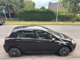 Fiat Punto Evo - Fiat Punto Evo aus 2012