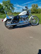 Harley-Davidson Sportster XL 1200 C - HARLEY-DAVIDSON 2010 SPORTSTER 1200