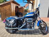 Harley-Davidson Sportster XL 1200 Roadster - HARLEY-DAVIDSON SPORTSTER 1200 ROADSTER