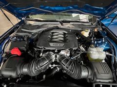 FORD Mustang GT Cabrio Premium 5.0l V8 Grail 4.59%