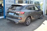 Ford Kuga 1,5 ST-Line X Navi+Sync Techno+Assist-Pack - Ford Kuga in Braunschweig