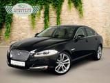 Jaguar XF Jaguar 5.0l V8 Kamera Keyless - Jaguar XF Gebrauchtwagen