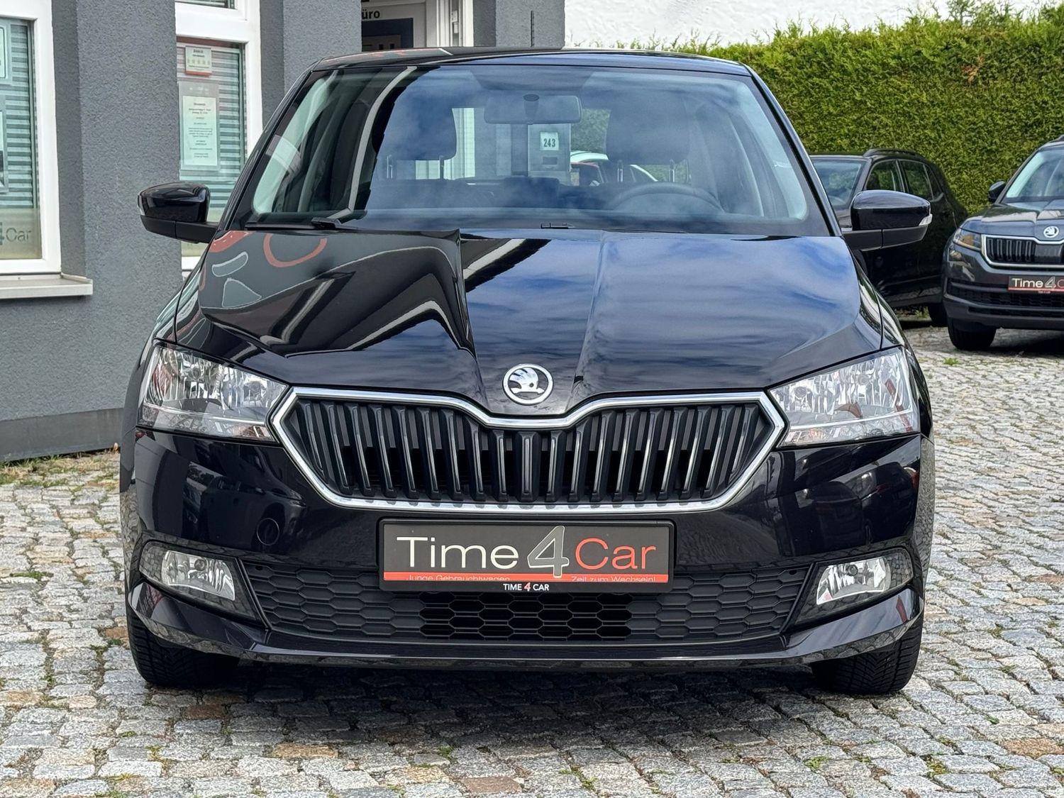 Skoda Fabia Ambition SHZ Kamera CarPlay Allwetter