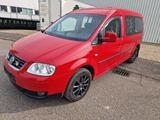 Volkswagen Caddy Maxi Life 7 S Gewinner Caddy - Volkswagen Caddy: Gewinner