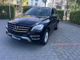 Mercedes-Benz ML 350 ML -Klasse ML 350 CDI BlueTec - Mercedes-Benz ML 350 in Wiesbaden