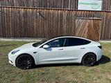 Tesla Model 3 Allradantrieb mit Dualmotor Performance  - Tesla Model 3 in Ludwigshafen