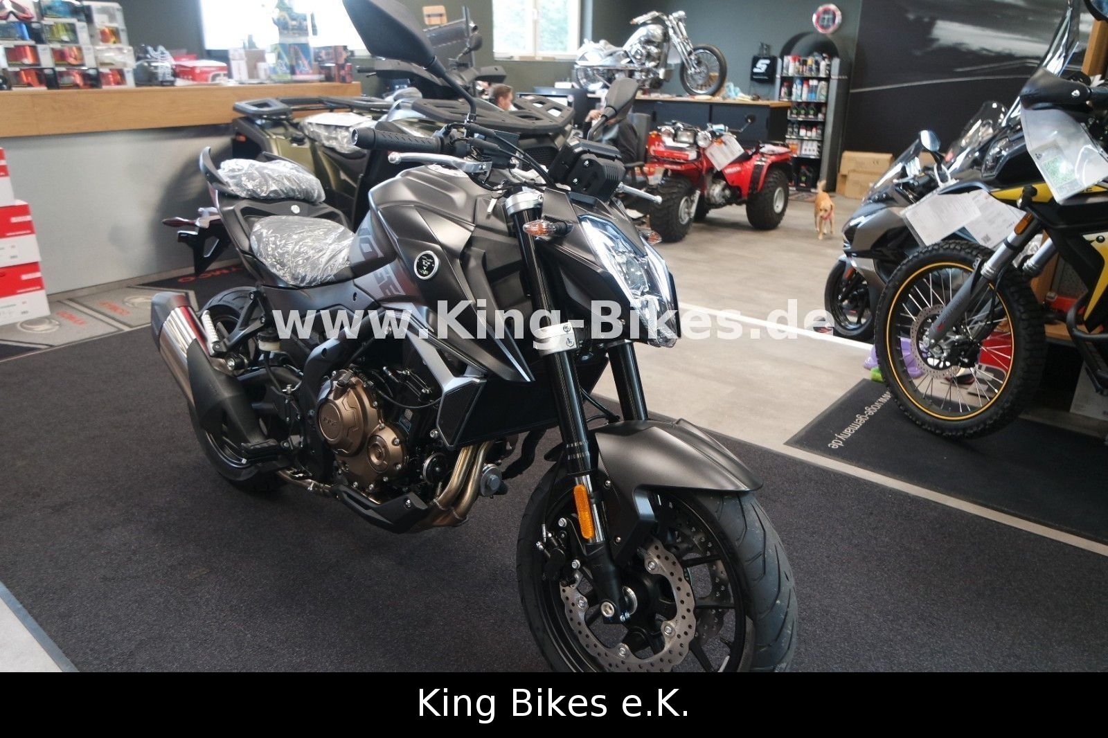Fahrzeugabbildung VOGE R625 - Pirelli - MEGA DEAL -über 990,- € gespart