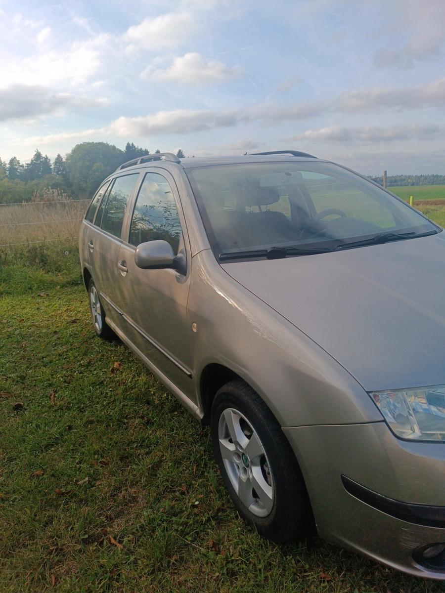 Skoda Fabia 2007 — rear view