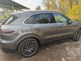 Porsche Cayenne 3.0 V6 1.Hand/TÜV Neu - gebrauchte Porsche Cayenne aus dem Jahr 2019