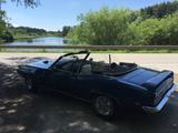 Pontiac Firebird - Pontiac Firebird von privat