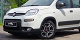 Fiat Panda*1.HAND*37 TKM*KLIMA*ANDROID*PDC*STARTSTOP* - Fiat Panda Gebrauchtwagen in Berlin