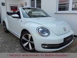 Volkswagen Beetle 1,4TSI DSG Allstar Plus Xenon Kamera - Volkswagen Beetle aus 2016