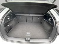 Audi Q2 - Vorschau Bild 20