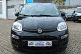 Fiat Panda Easy * Klima * PDC * 1. Hand * - Fiat Panda Gebrauchtwagen in Mülheim (Ruhr)