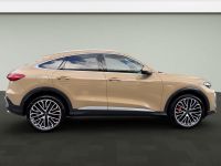 Audi SQ5 - Vorschau Bild 7