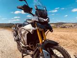 Triumph Tiger 900 Rally Pro - TRIUMPH 900