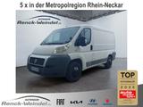 Fiat Ducato Kastenwagen 28 L1H1 100 Multijet Scheckhe - Fiat Ducato: Kasten