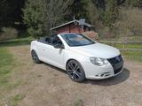 Volkswagen Eos 1.4 TSI 90kW White Night White Night - Volkswagen Eos: Weiß, Night