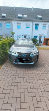 Lexus UX 250 h Executive Line  - Lexus UX Gebrauchtwagen