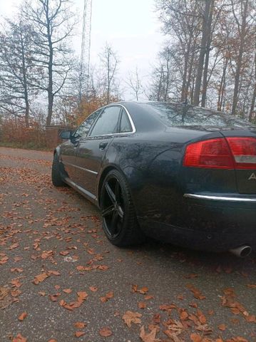 Audi AUDI A8 D3  3.7 V 8 QUATTRO