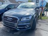 Audi SQ5 3.0 TDI tiptronic quattro - - Audi SQ5 in Oberhausen