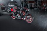 Indian FTR 1200 Custom Umbau | Wunderkind | ARC Auspuff - Offers