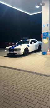 Andere Dodge Challenger R/T 5.7 V8 - Andere: Coupé