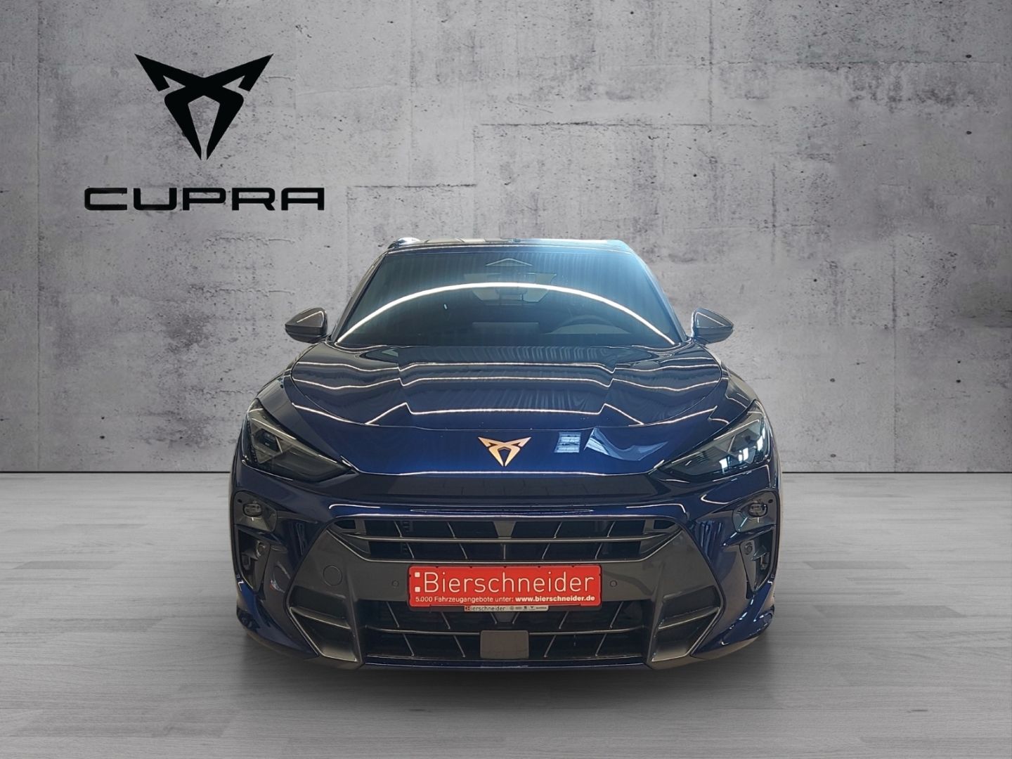 Cupra Terramar - Bild 2