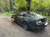 Ford Mustang 5.0 V8 GT *EU Modell*Auspuff*Premium*   - Ford Model a Gebrauchtwagen