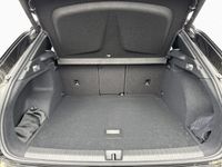 Cupra Terramar - Vorschau Bild 13