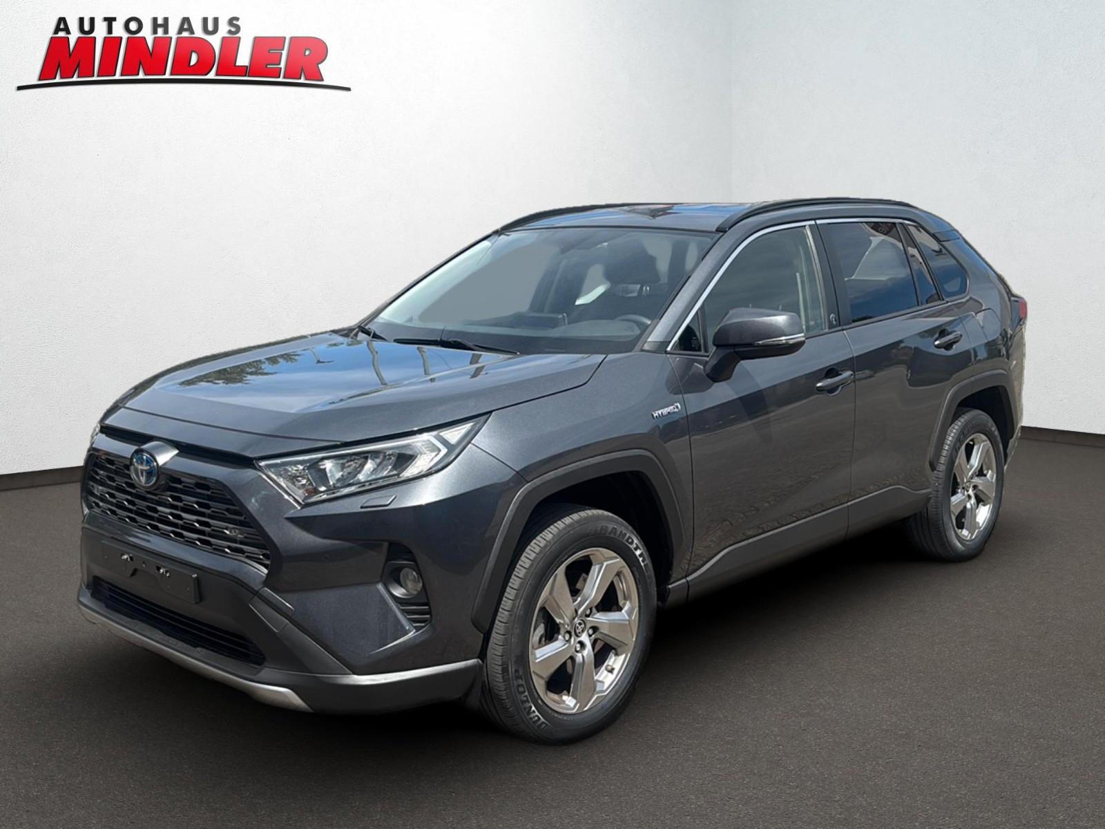 Toyota RAV4 Hybrid 4x2 Team D *Toter-Winkel-Warner*