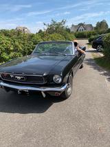 Ford Mustang - aus 1966: Roadster