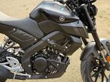 Yamaha MT-125 Naked Bike mit ABS Unfallfrei TOP Zustand - YAMAHA MT125