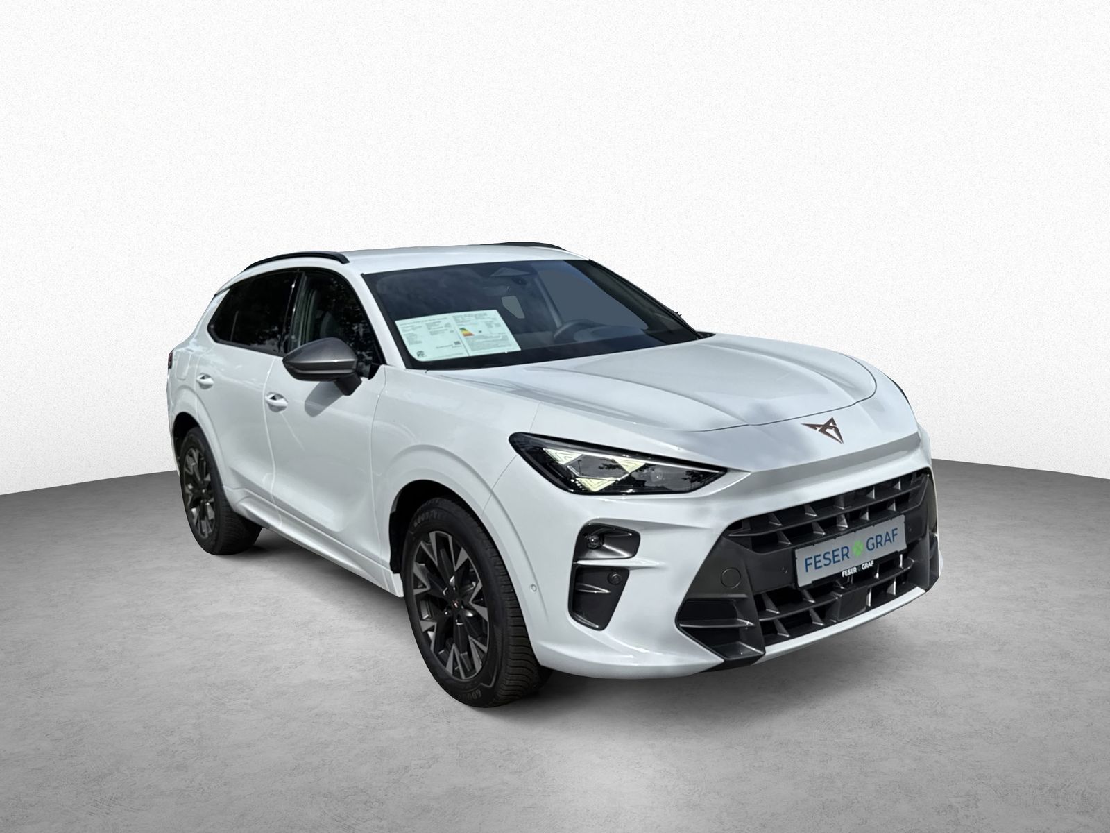 Cupra Terramar - Bild 3