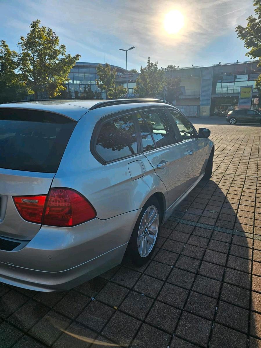 BMW 316 2011 — вигляд ззаду