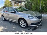 Skoda Octavia Lim.1,4 Besin Klima Navi Kamera Alus Eu6 - Skoda Octavia mit CNG-Antrieb: mit Navigationssystem