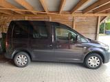 Volkswagen Caddy 1.2TSI Navi, Klima, AhK - Volkswagen Caddy mit Benzin-Antrieb: Kombi, 1.2