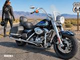 Harley-Davidson Road King CVO 110cui *5HD1/seit 2009 2.Hand* - Motorräder