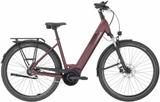 Pegasus SOLERO EVO 5R S - 28" - Pegasus E-Bikes